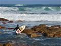 Chladný Atlantik na Myse dobrej nádeje je rajom pre surferov a potápačov