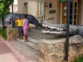 Prírodopisné múzeum. Krokodíla na Seychelských ostrovoch nenájdete. Ide o jednu z najbezpečnejších k