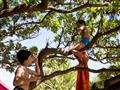 Deti v korunách exotických stromov. Príroda je tu vskutku krásna. foto: Ľuboš FELLNER – BUBO
