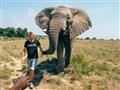 Jazdili ste v Thajsku, Indii alebo na Srí Lanke na indických slonoch? Vyskúšajte afrického. foto: St