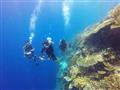 Dokonalý zážitok z koralového útesu Východného Timoru.