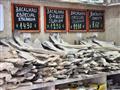 Viete ako chutí Bacalhau? Sušená treska je ikonickým jedlom Portugalska a tento zájazd má aj svoj gu