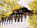 Punakha, miesto zrodu nezávislého Bhutánu. foto: Ľuboš FELLNER - BUBO