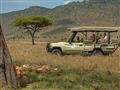 Ngorongoro - je tu najväčšia hustota šeliem na svete
