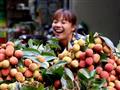 Aké exotické ovocie ochutnáme? Longán? Durian? Marakuju?
foto: archív BUBO
