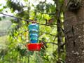 Tu v Kordilierach je najviac kolibríkov na svete. Na našom trekku prírodou máme šancu. foto: Ľuboš F