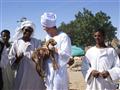 Ľubo čičíka kozliatko. Sudán je tak zlatý. Prečo sa ho všetci boja? foto: Ľuboš Fellner - BUBO