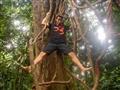 Lesy na Sumatre sú plné exotických stromov.
foto?: Tomáš HORŇÁK — BUBO
