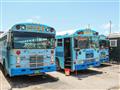 Odvezieme sa kúsok v takýchto farebných autobusoch? Viete odkiaľ ich doviezli do Belize? foto: Alena