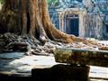 Angorský chrám Ta Phrom je plný stromov a zabudnutej histórie.
foto: archív BUBO
