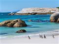 Simons Town - táto pláž je vyhradená pre tučniaky, ktoré sa tu úspešne množia