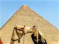 Horúci bozk priamo pod Cheopsovou pyramídou. Egypt si doslova zamilujete. 
foto: Kristína Bulvasová 