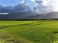 V okolí mesta Fianarantsoa sa začínajú objavovať ryžové polia. foto: Martin KARNIŠ – BUBO