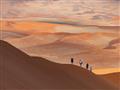 Zdoláme niektoré duny, vychutnáme si ticho púšte, horúci piesok, stopy gemsboka...  foto: Tomáš Hulí
