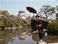 Osacký hrad sa radí medzi tie najkrajšie v celom Japonsku.
foto?: Martin Šimko - BUBO