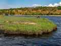Na brehoch rieky Chobe sa často slnia krokodíly s dĺžkou tela viac ako 4-5 metrov. foto: Tomáš Hulík