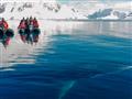 Áno. Veľryba pláva pod naším zodiakom.
foto: Pavel FELLNER – BUBO