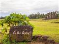 Ahu je názov pre pódium, na ktorom sochy moai stoja. Ahu Akivi je najhlbšie vo vnútrozemí a zároveň 