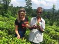 Napriek tomu, že sa čaj dostal na Srí Lanku ako náhrada za kávu, dnes tvorí jednu z najvýznamnejších