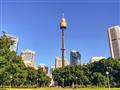 305 metrov vysoká Sydney Tower je výborným miestom na objavenie panorámy mesta. Stojí priamo nad cen