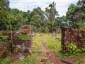 Na Kráľovskom ostrove bola nemocnica, kostol a nechýbal ani cintorín. foto: Ľubor Kučera – BUBO
