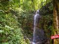 Jeden z najznámejších vodopádov Národného parku Brownsberg - vodopád Leo. foto: Ľubor Kučera – BUBO
