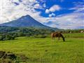 Modré nebo, zelená tráva a sopka v pozadí. Fakulatívne výlety v Kostarike? Odporúčame Arenal!