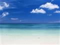 Kajmanské ostrovy - Váš Karibik