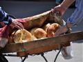 Uzbecký chlieb nám zachutí a tradičný non budeme ochutnávať takmer každý jeden deň. Kúpite si ho už 