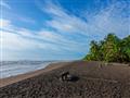 Kostarika a jej divoké pláže. Tu 5* hotely ešte nedorazili. foto: La Laguna Lodge