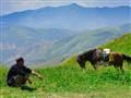 Pastier v čarovnej krajine, ktorú kedysi pretínala Hodvábna cesta. foto: Tomáš Kubuš - BUBO