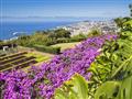 Botanická záharada, Funchal, Madeira, poznávací zájazd, Portugalsko