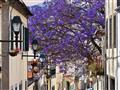 Hlavné mesto Funchal, Madeira, poznávací zájazd, Portugalsko