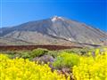 Tenerife - Klenot Kanárskych ostrovov -