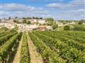 Bordeaux legendárne mesto vína a ustríc