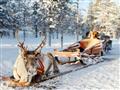 Laponsko pre deti - cesta za Santa Clausom