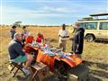 safari v tanzánii, jeep zebry, levy, žirafy