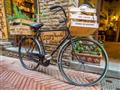 Bicykel- poznávací zájazd, Taliansko