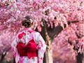 Last minute Japonsko Japonsko - potulky krajinou kvitnúcich sakúr