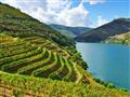 Porto vínna cesta Porto vínna cesta
