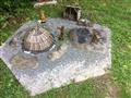 Čierny Balog, Čiernohronská železnička a Lesnícky skanzen, poznávací zájazd