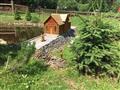 Čierny Balog, Čiernohronská železnička a Lesnícky skanzen, poznávací zájazd