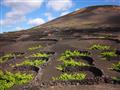 Lanzarote - krásy vulkanického raja