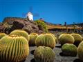 Lanzarote - krásy vulkanického raja