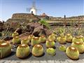 Lanzarote - krásy vulkanického raja