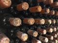 Moldavsko - medzi vinicami a históriou