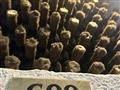 Moldavsko - medzi vinicami a historiou