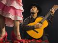 Flamenco, Andalúzia, pznávací zájazd, Španielsko