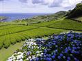 Azorské ostrovy Sao Miguel, poznávací zájazd Popis: 7J8P