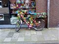Bicykel Amsterdam